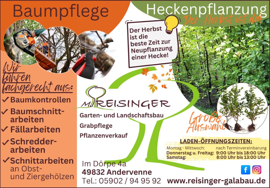 November_Heckenpflanzen_102025