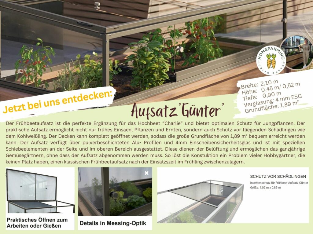 Produktinformation über den Frühbeetaufsatz 'Günter' für Hochbeet 'Charlie', inklusive Abmessungen, Materialien und Funktionen wie optimale Belüftung und Schutz für Pflanzen.