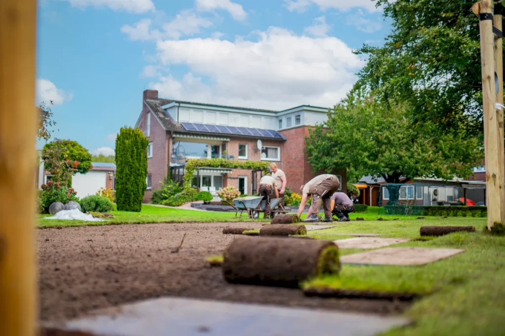 Gärtner verlegen Rollrasen in einem gepflegten Garten hinter einem modernen Haus. Im Hintergrund sind Bäume und Sträucher zu sehen, während die Arbeiter mit Schubkarren und Werkzeugen beschäftigt sind. Der Himmel ist blau mit vereinzelten Wolken, was auf einen schönen, sonnigen Tag hinweist.