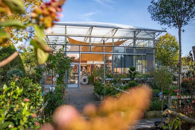 Moderne Gärtnerei mit Glaskonstruktion, umgeben von üppigen Pflanzen und Sträuchern. Im Vordergrund sind bunte Blumen und gepflegte Grünanlagen sichtbar, während im Hintergrund ein einladender Eingangsbereich mit Holzregalen und Gartenaccessoires zu sehen ist. Der Himmel ist klar und blau, was eine freundliche Atmosphäre schafft.