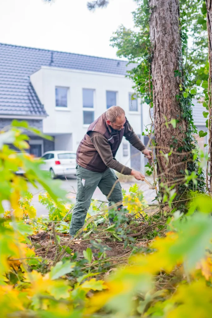 Baumkontrolle durch einen zertifizierten Baumkontrolleur