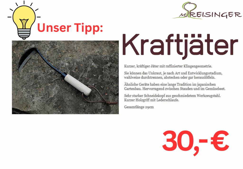 Ein kurzer, kraftvoller Jäter mit einem raffinierten Klingendesign, auf einem steinigen Untergrund platziert. Der Jäter hat einen weißen Holzgriff und einen kräftigen Schneidekopf aus geschmiedetem Werkzeugstahl. Der Preis von 30 Euro und die Gesamtlänge von 29 cm sind ebenfalls angegeben, zusammen mit einer Beschreibung seiner Verwendung im Gartenbau.